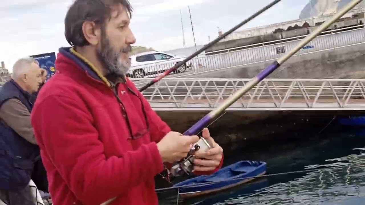 14 - 1 - 2026 Buena jornada de pesca, en temporada de Berdeles,, Bermeo Vizcaya 