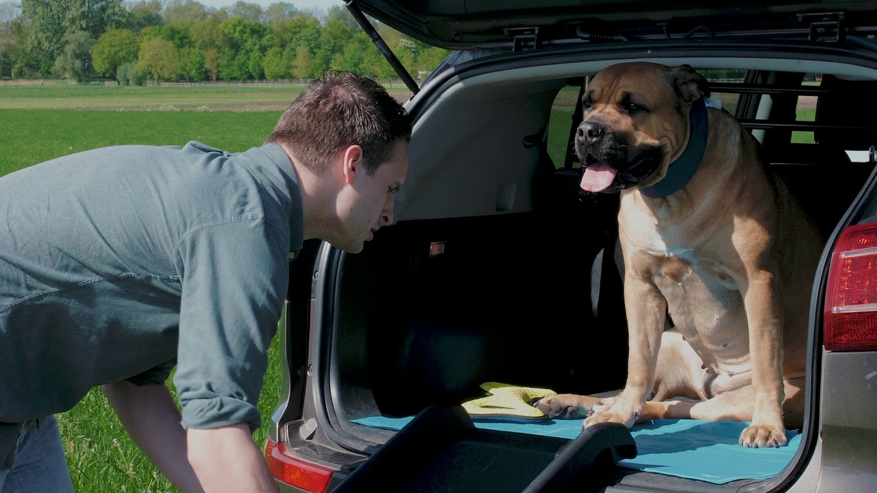 Loopplank voor je hond - Solvit UltraLite Bi-Fold [Discus Productvideo]