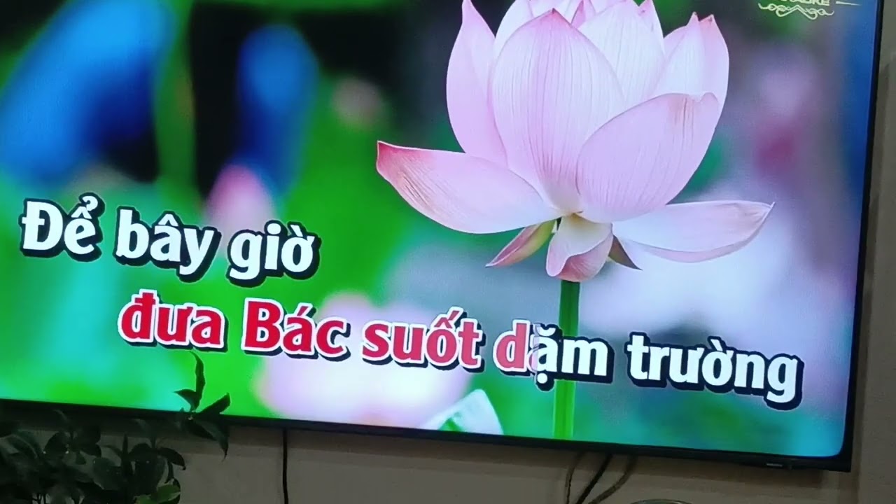 Miền Trung nhó Bác Tb Tân Thanh 