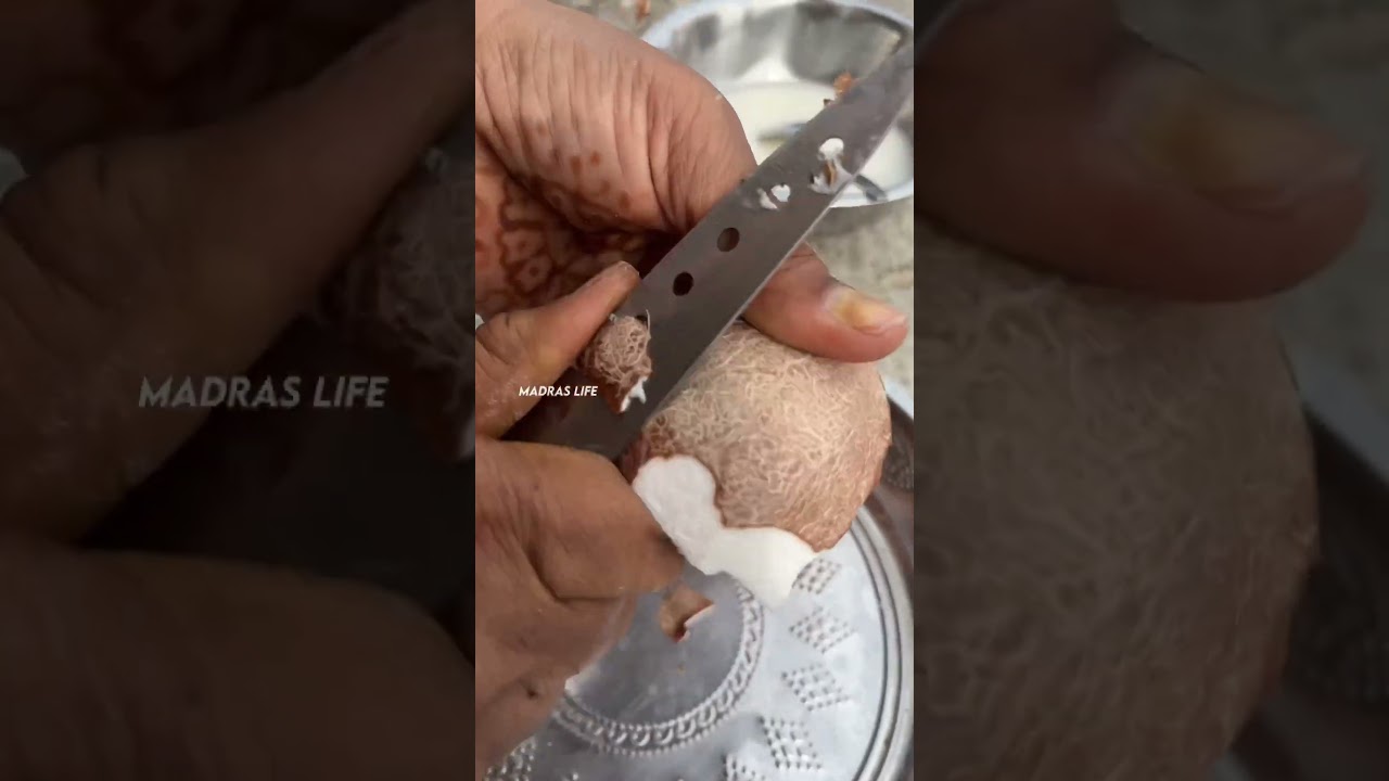 Coconut Pudding🥥 | Madras Life | #shorts