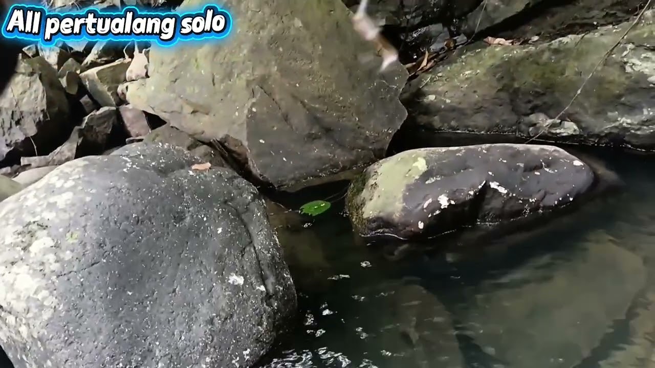 Memasang pancing sidat strike baung, melihat pancing sidat baung #strikebaung #boildeair #seopopular