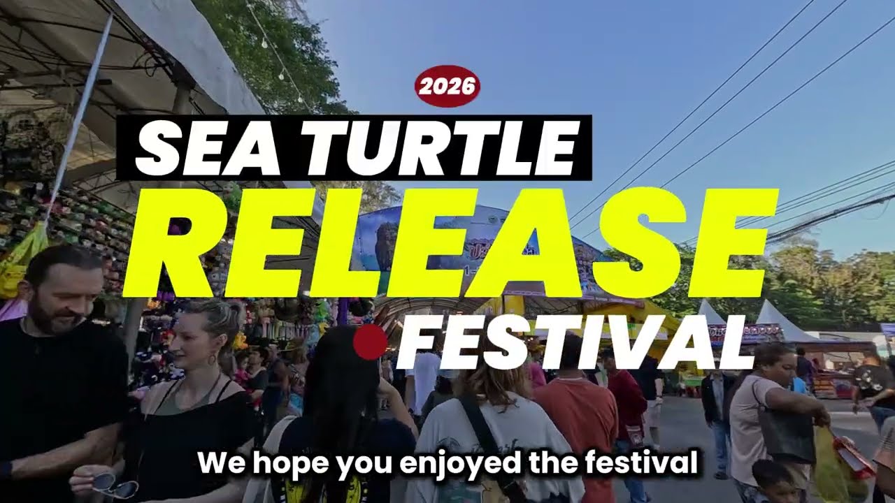 Sea Turtle Release Festival 2026