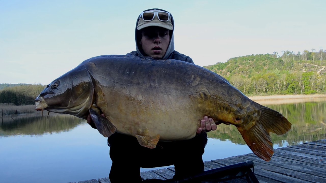 peche carpe 2017
