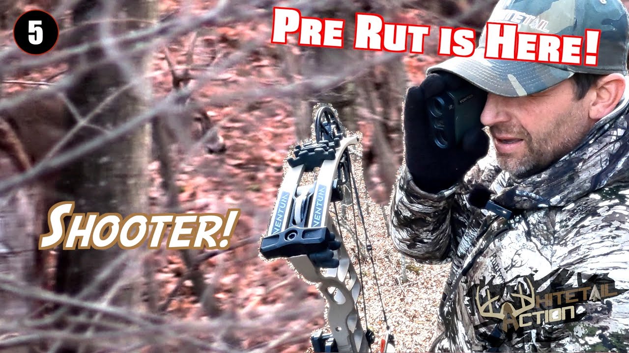 Whitetail Action-
