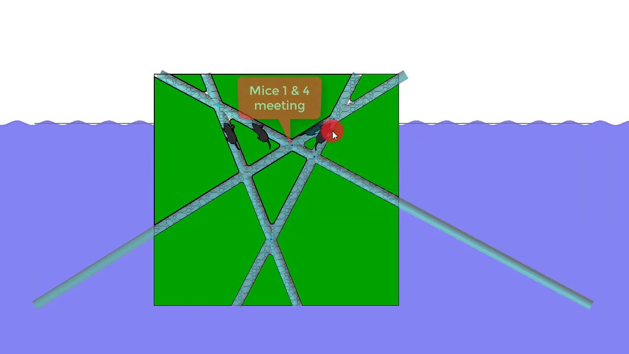 Puzzle Four Walkers or Four Rats on a Sinking Ship
