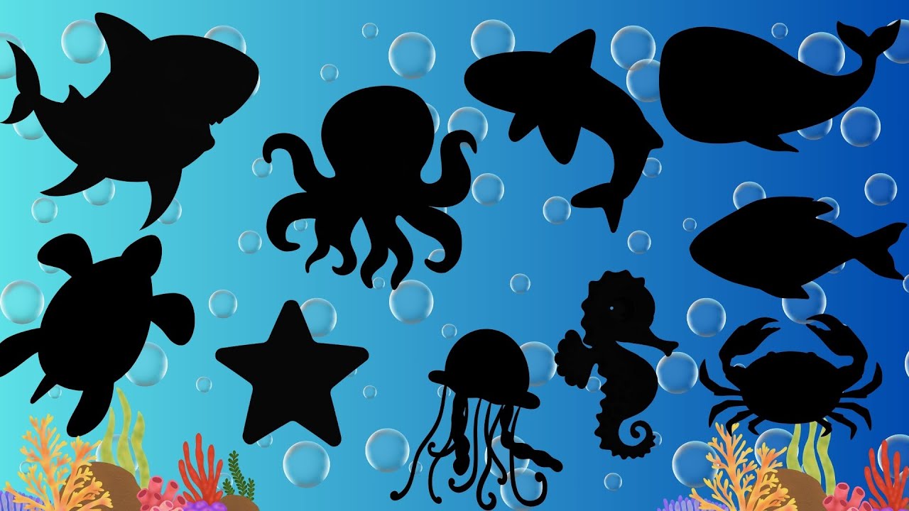 Diversão no Fundo do Mar: Alfabeto, Contagem e Sombra com os Animais Marinhos!