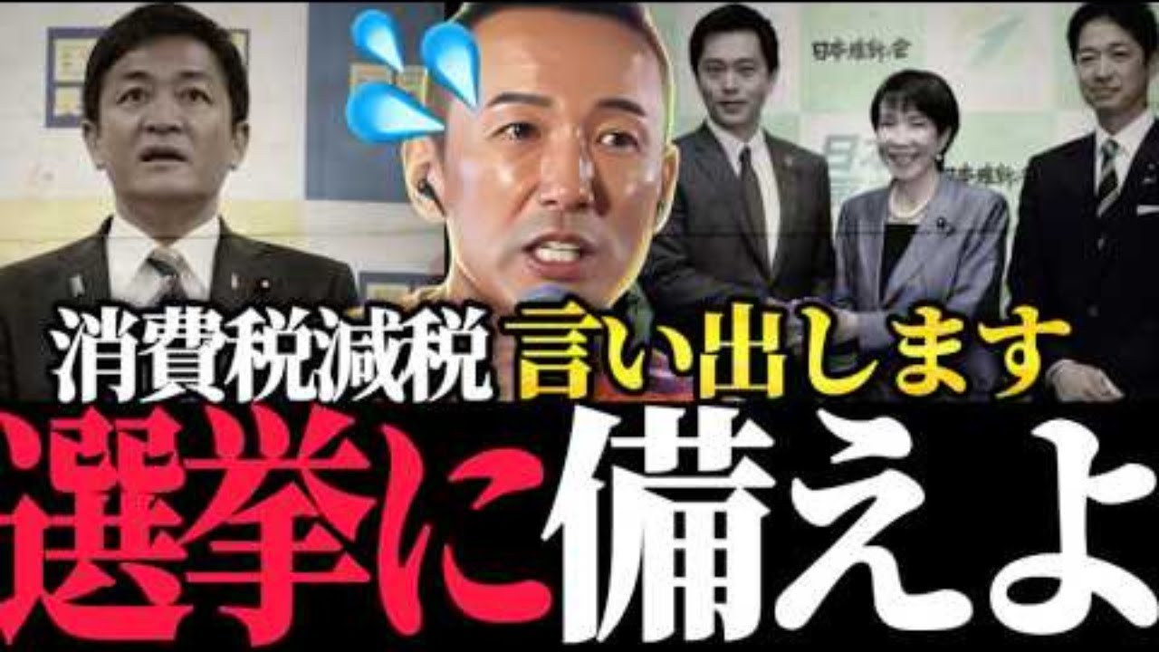 山本太郎だけが嘘をつかなかった…消費税減税は幻想だった？
