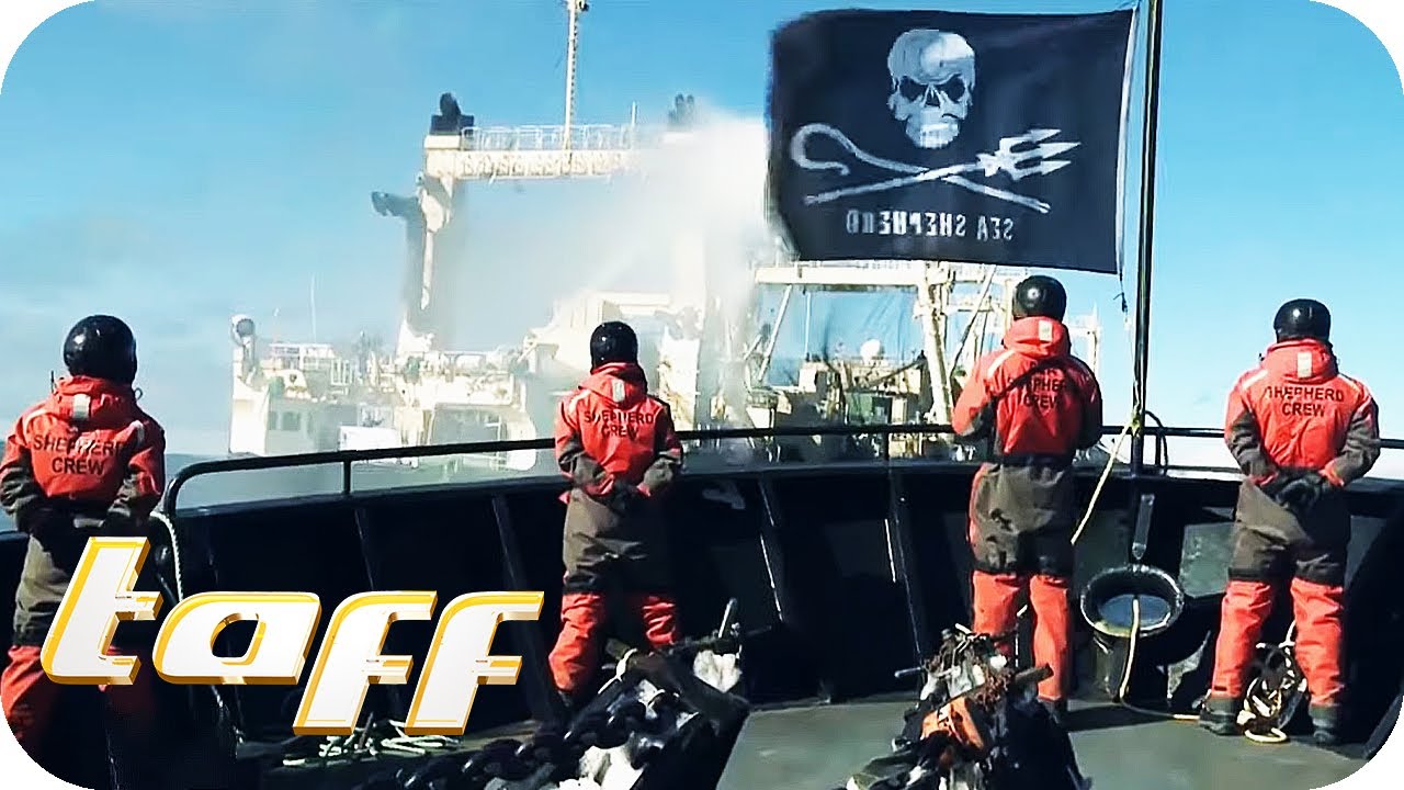 Unterwegs mit Sea Shepherd - taff hautnah! | Teil 1 | taff | ProSieben