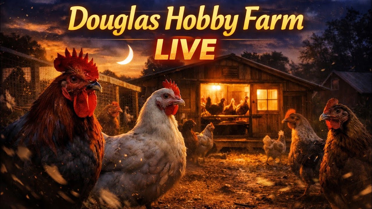 Douglas Hobby Farm is live!