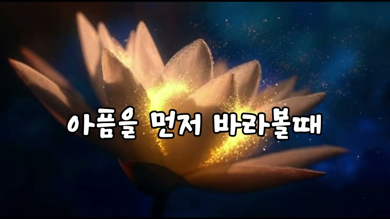 연꽂의 소리 🌸 마음을 밝히는 소리 🌸Light of Compassion