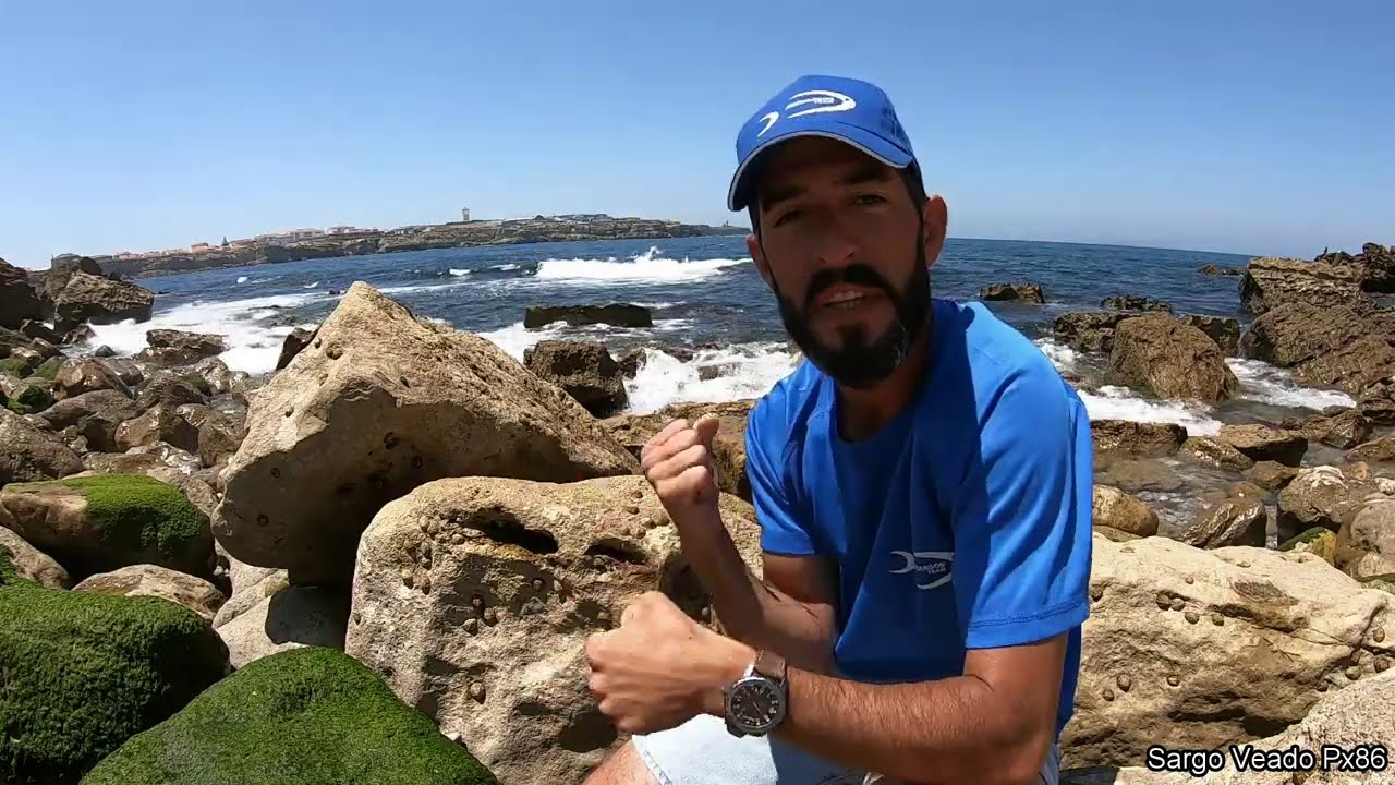 Sargos em modo de competição 2020💪🎣🇵🇹