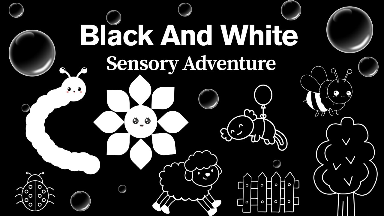 Baby Bear | Black and White Remix | Visual Tracking Sensory Video for Babies