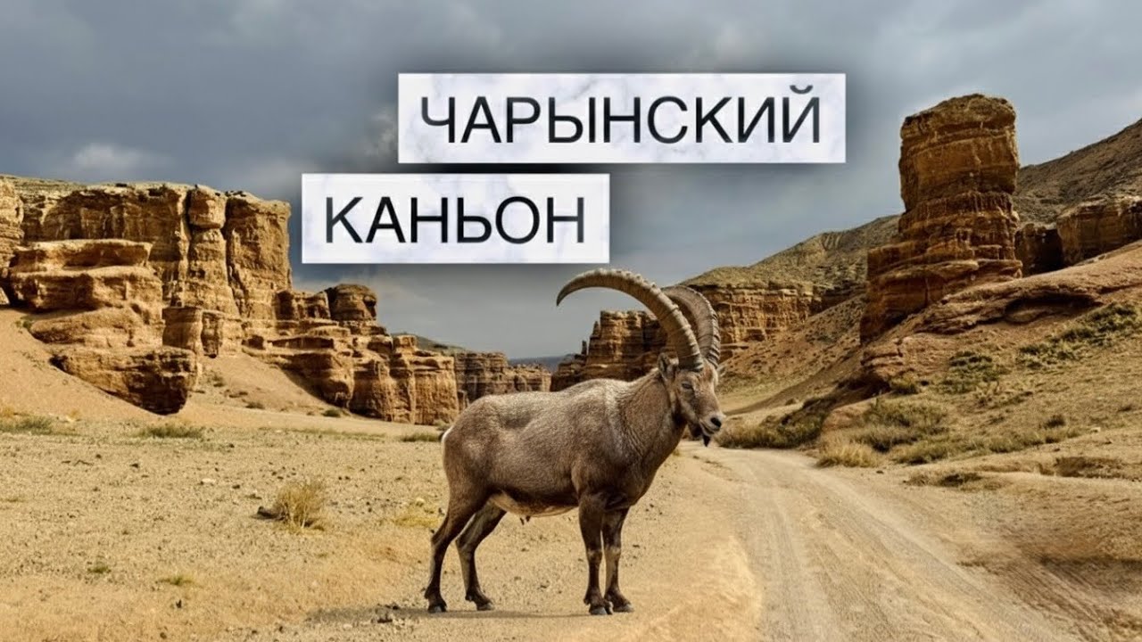 ✅ А мы снова на Чарын, но в этот раз в разгар Осени, полный обзор 👍#горы #чарынскийканьон 