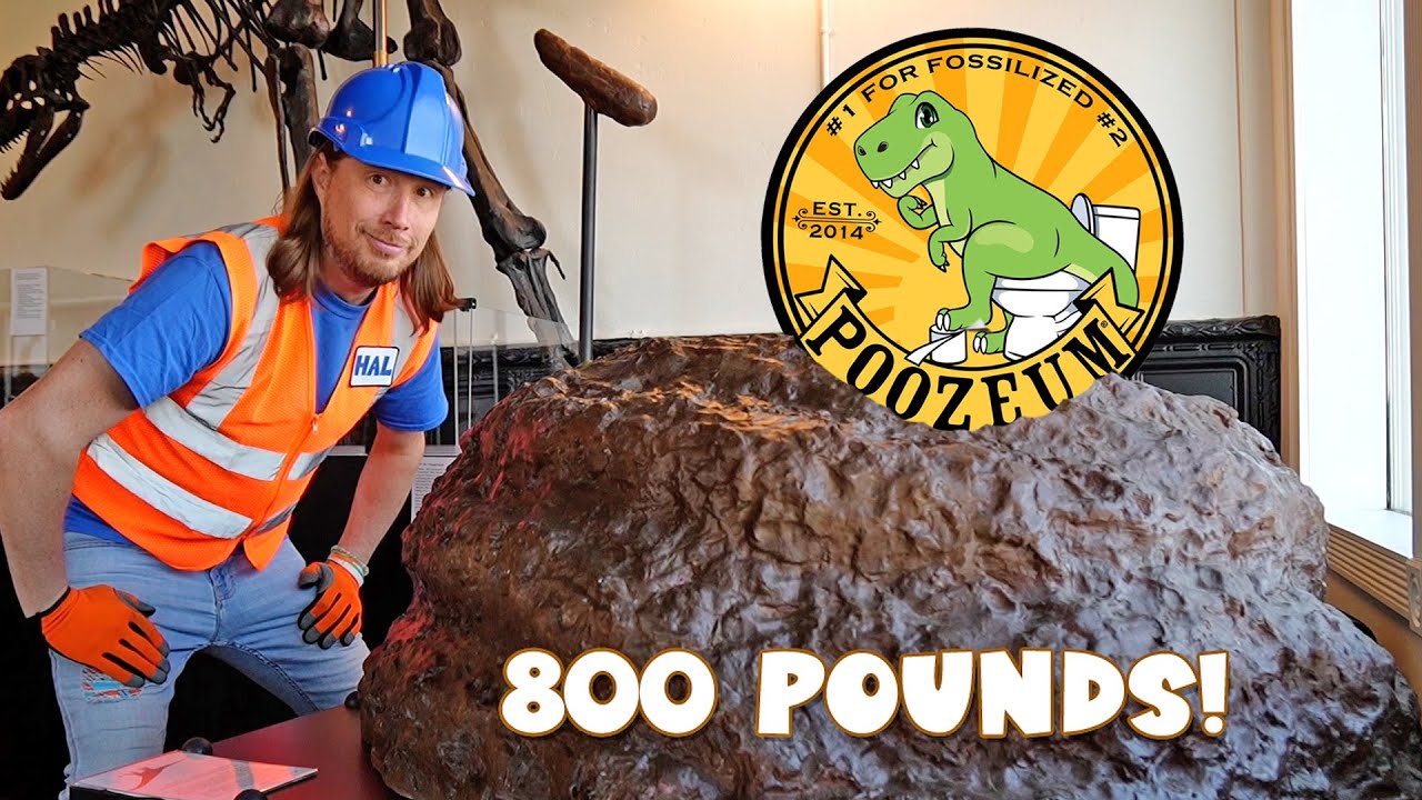 🦖 💩 Handyman Hal at the POOZEUM! Awesome Dinosaur Fossils 🦕