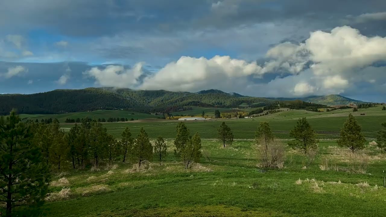 May afternoon at Foucachon Farmhouse