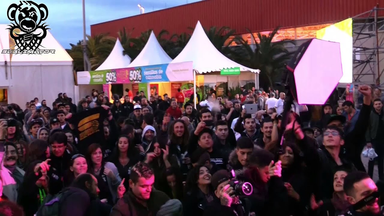 Spannabis 2015 fist place yeah