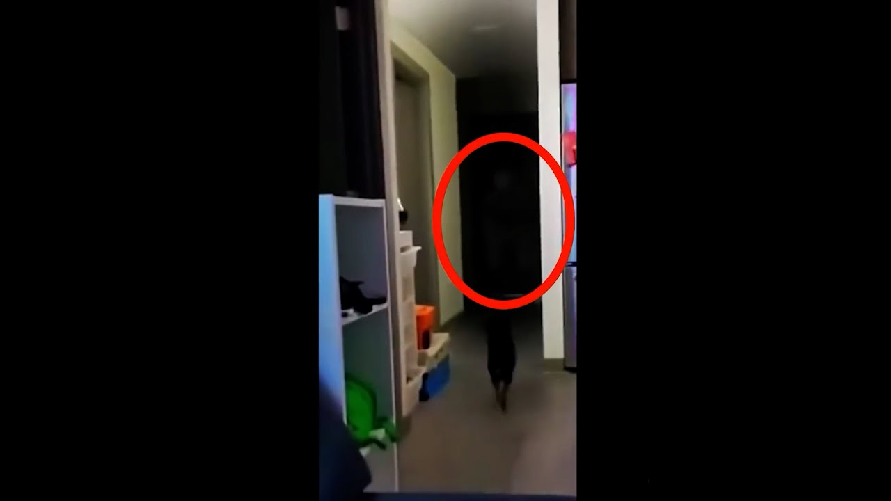 Fear Inducing Videos to Keep You Up Tonight