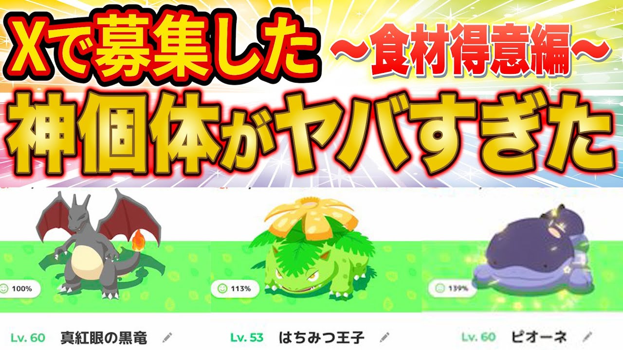 神個体を募集したら想像を超える高個体値・色違いポケモン連発！？選りすぐりの激ヤバ食材得意ポケモンを紹介します【ポケスリ】【ポケモンスリープ】【Pokémon Sleep】