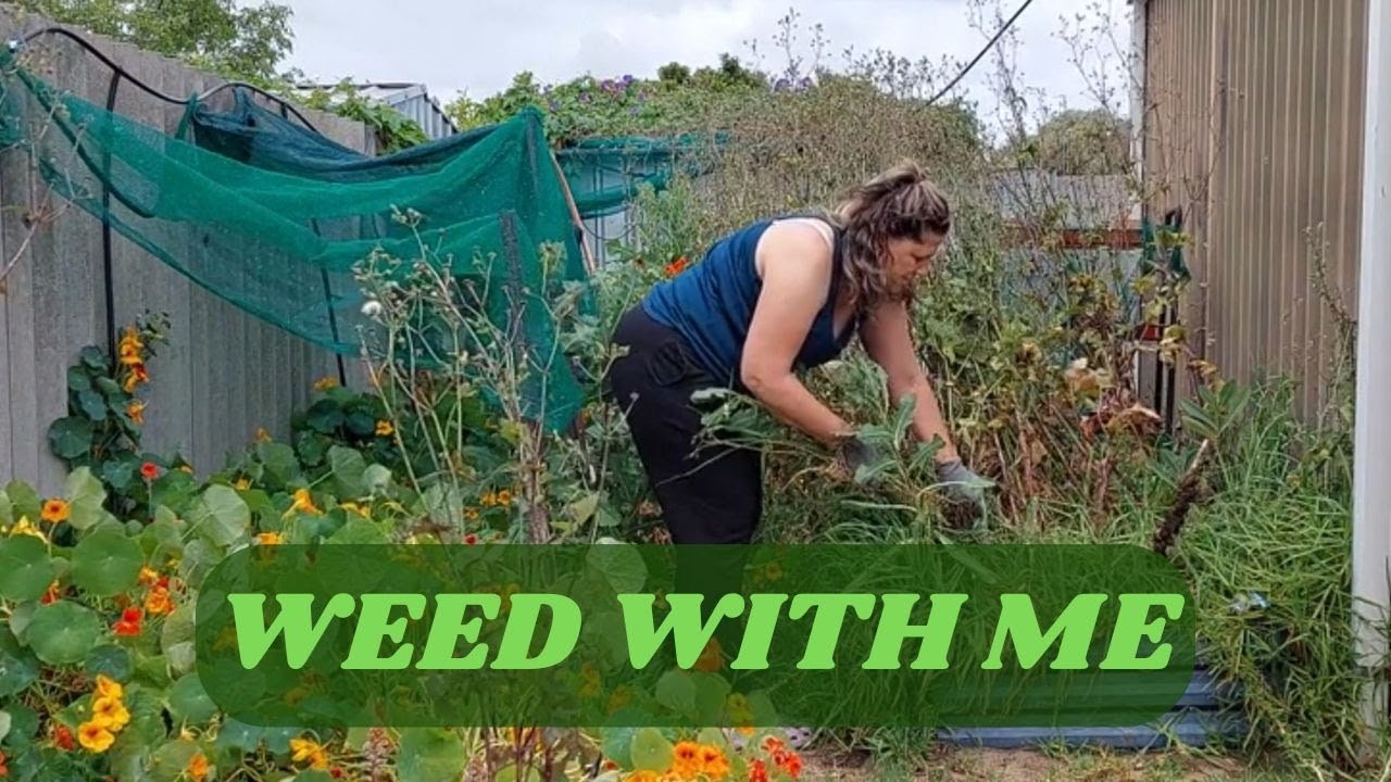 Weed with me in Perth (region) Western Australia | Garden Tidy Up