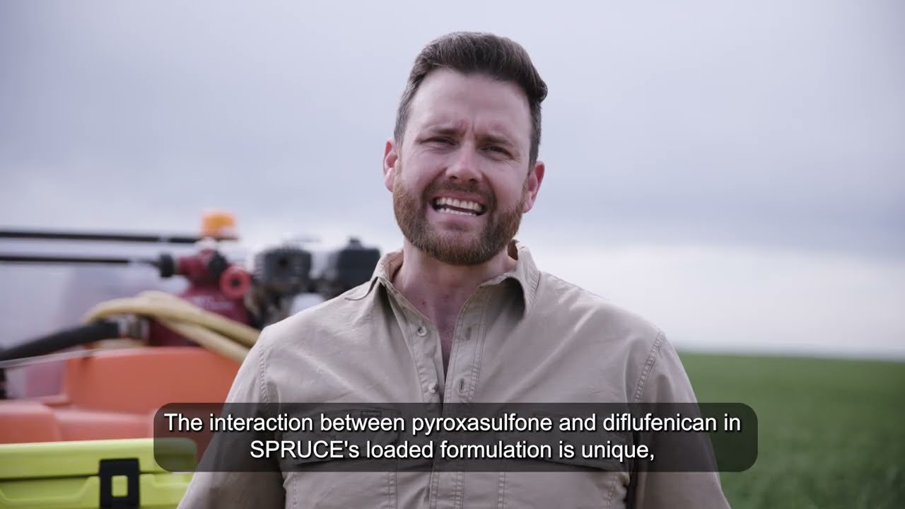 SPRUCE Herbicide Formulation