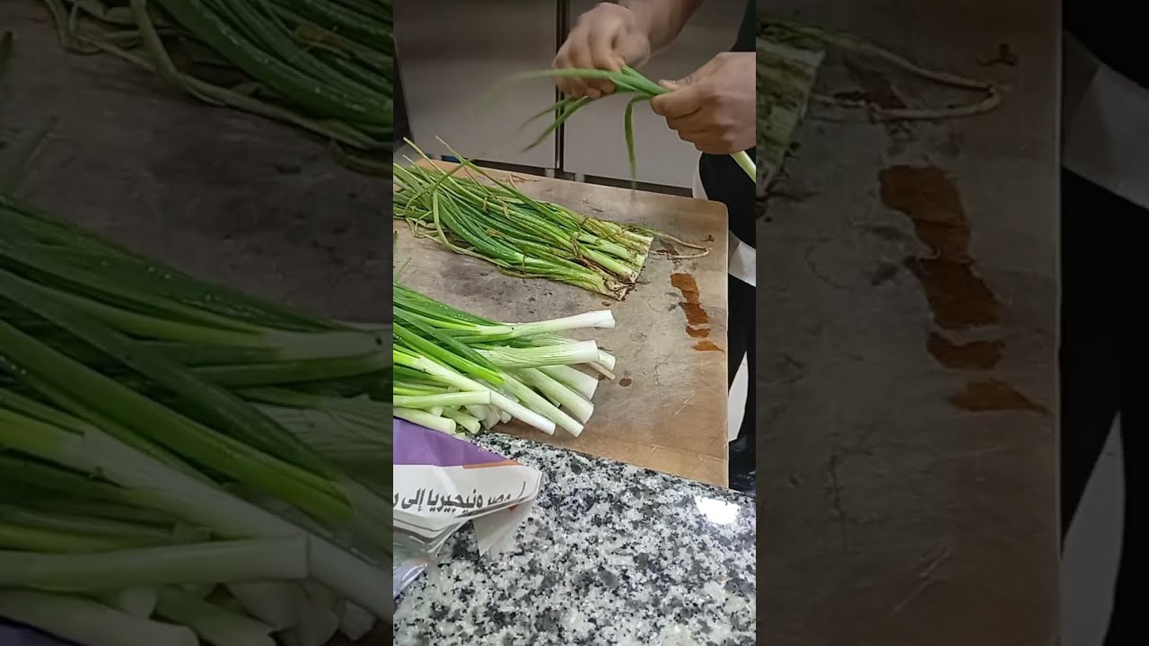 Indian food Recipes vlogs is live!