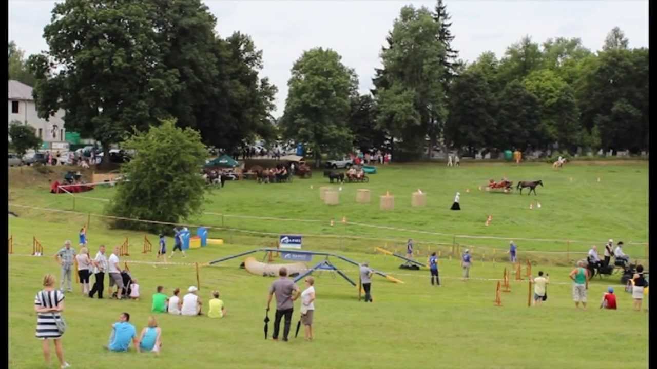 V Piknik pn. 