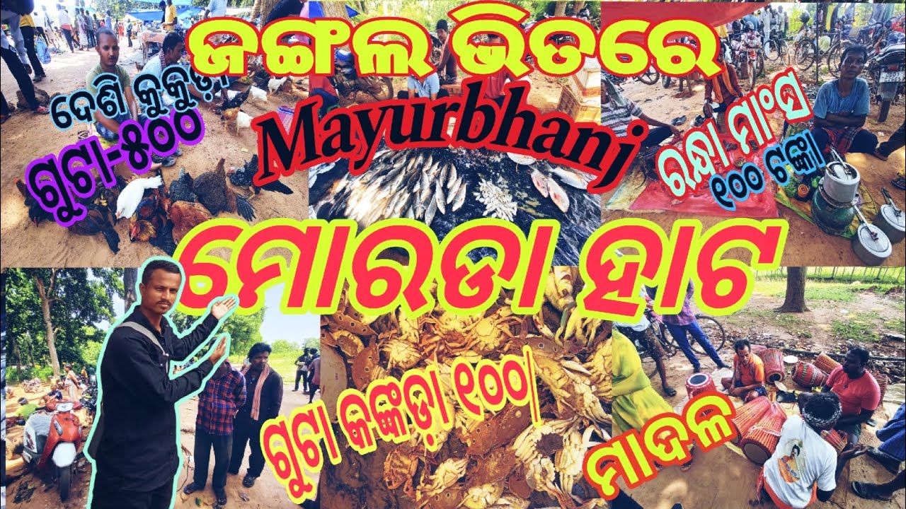 ଶାଳ ବଣରେ ଦେଶି ହାଟ 🥺Moroda hata ବାରିପଦା                      ମାଦଳ,ଜଙ୍ଗଲି ମାଂସ, କୁକୁଡ଼ା ଗେଣ୍ଡା ସବୁମିଳେ