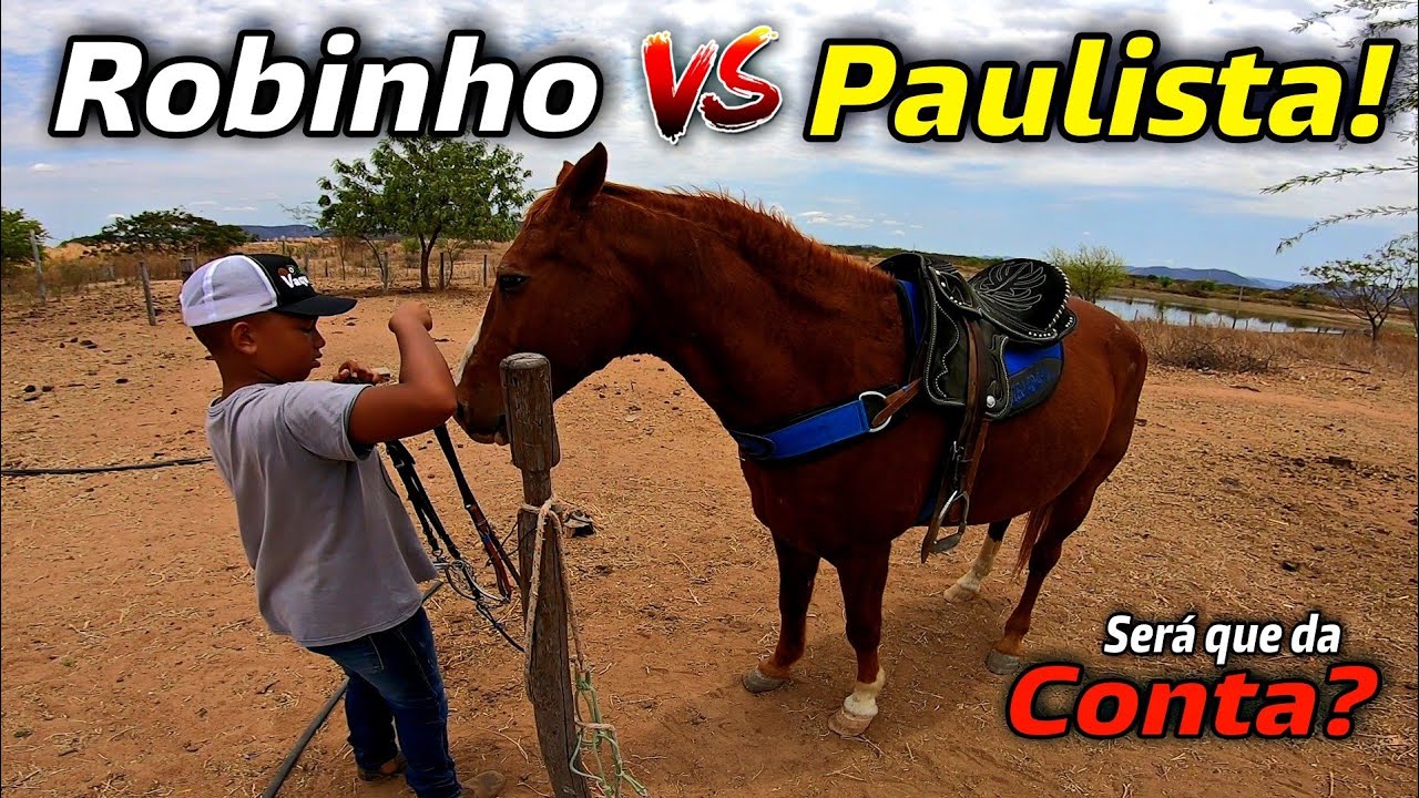 ROBINHO SELANDO O CAVALO PAULISTA - ensinando meu filho selar o cavalo da maneira correta confiram.