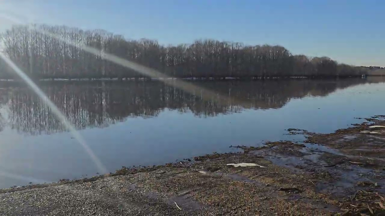 Wednesday, January 28, 2026. Survived the Icepocalypse.