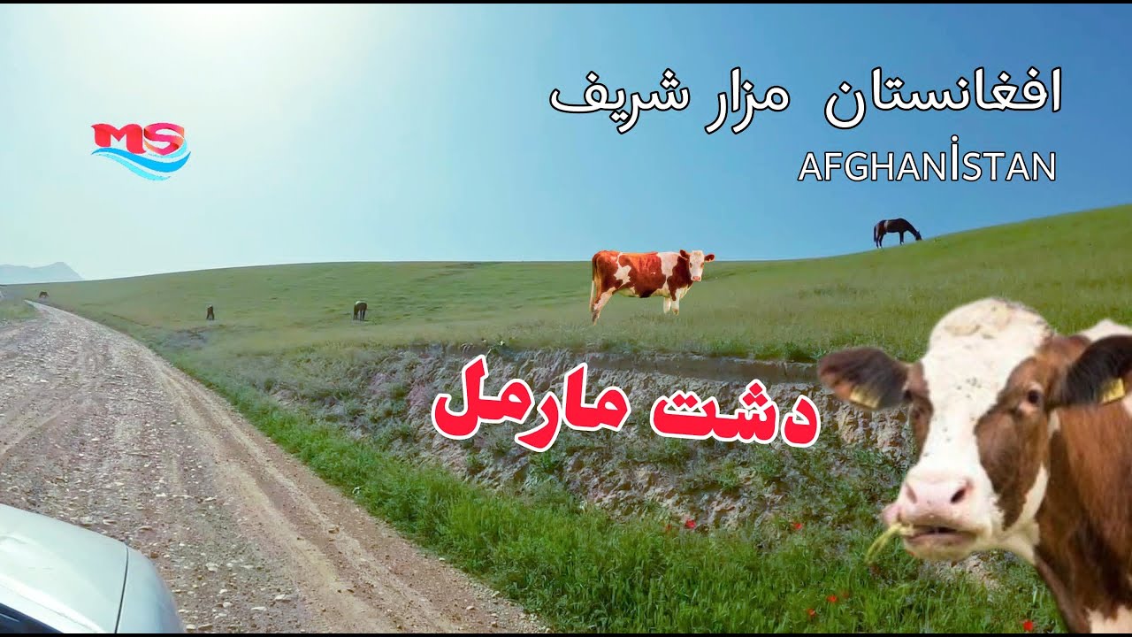 دشت مارمل با کوه‌های زیبا، جای دیدنی و دل‌انگیزی‌ست.Marmal Plain is a beautiful and scenic spot.AFG