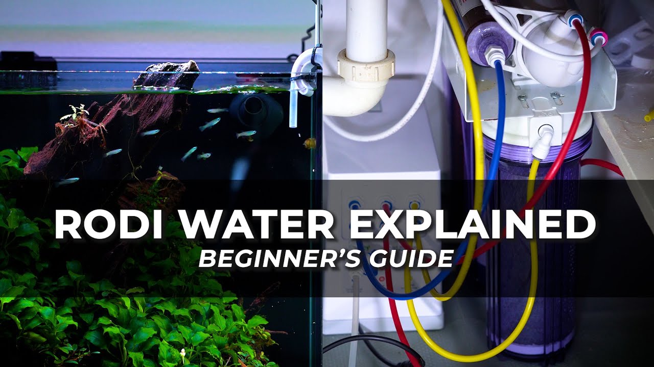 RODI Water for Aquariums: Beginner’s Guide (Everything You Need to Know)