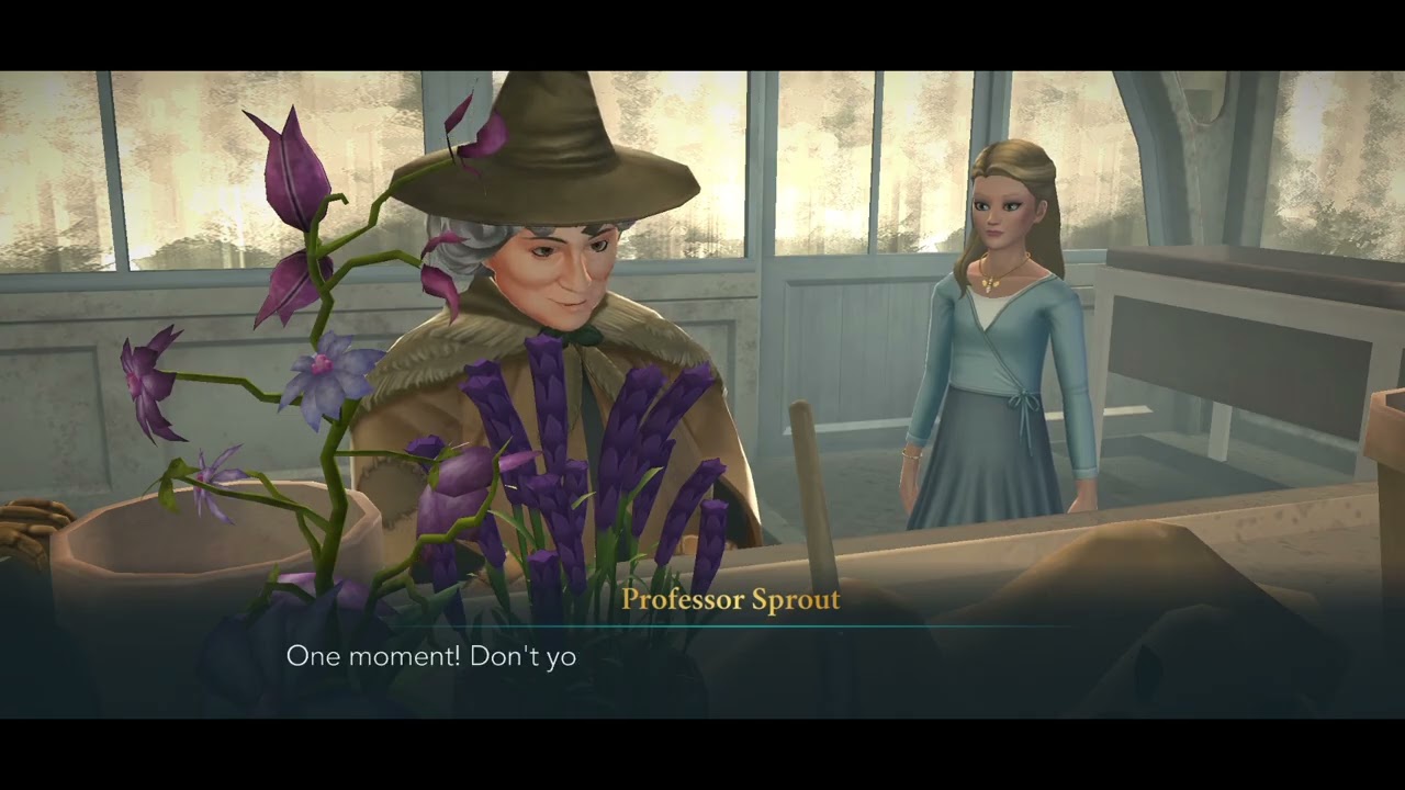 Witch Switch Side Quest - Hogwarts Mystery