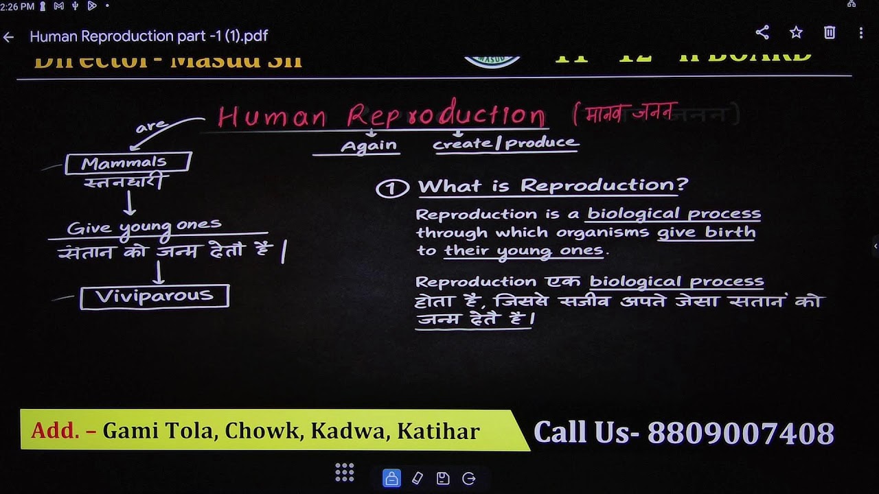 human reproduction