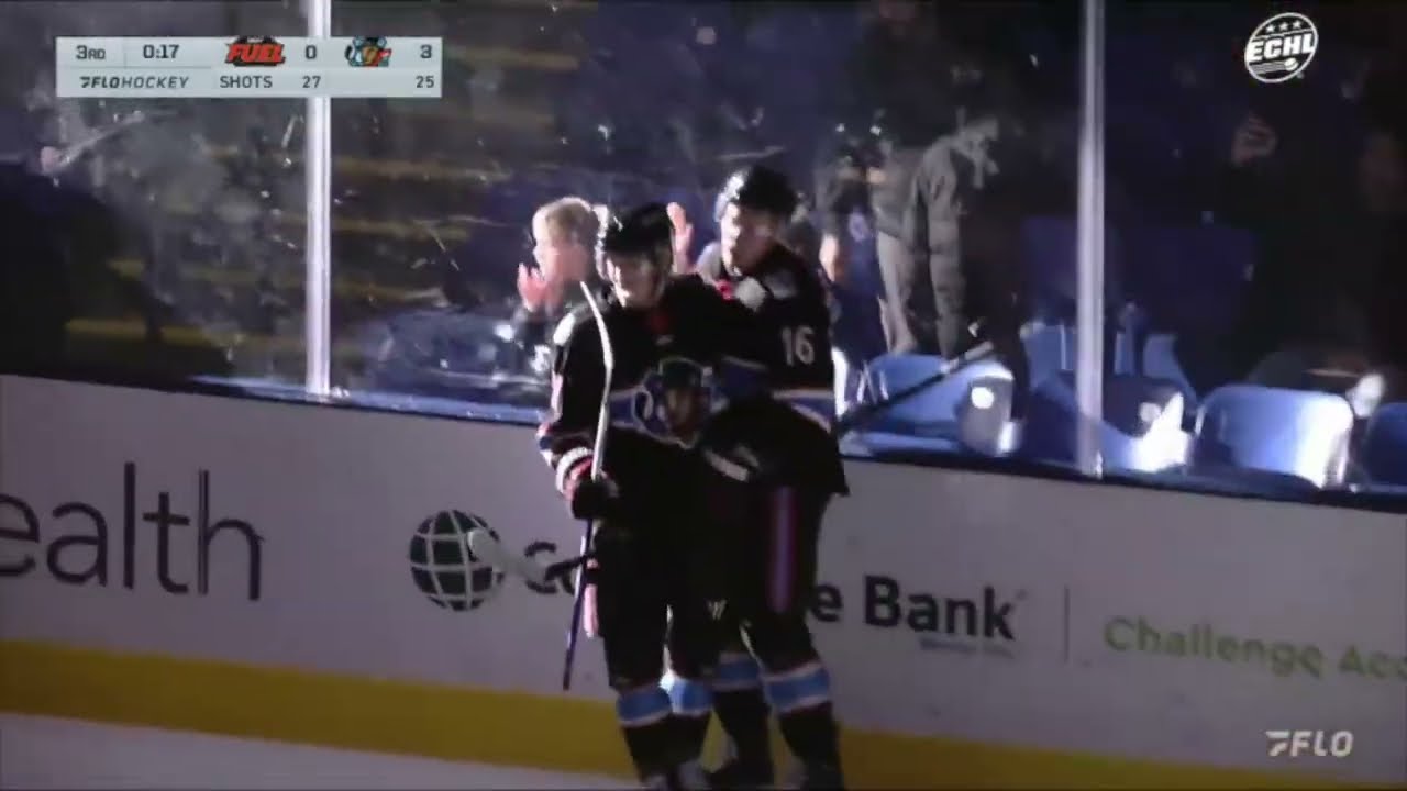 Third Shutout of the Month for Dryden McKay - Bloomington Bison Highlights  01/25/26