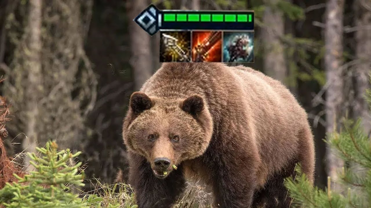 Infinity Edge Volibear | Teamfight Tactics Gameplay [Deutsch]