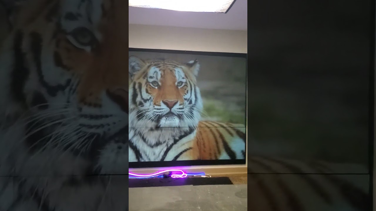100% superior picture and zero washout and ashy discoloration  ILEG black projector screen paints