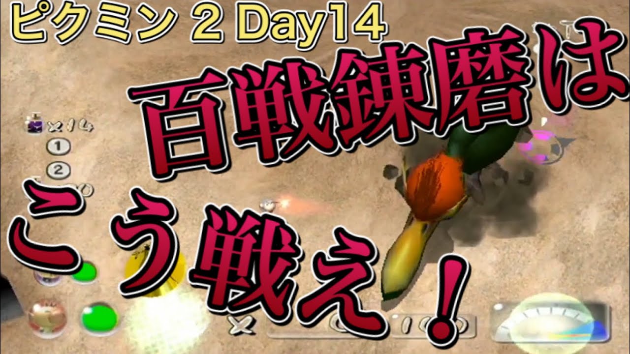 【実況】ピクミン2 DAY14 百戦錬磨の穴 前編 俺がここの戦い方を教えてやんよ！
