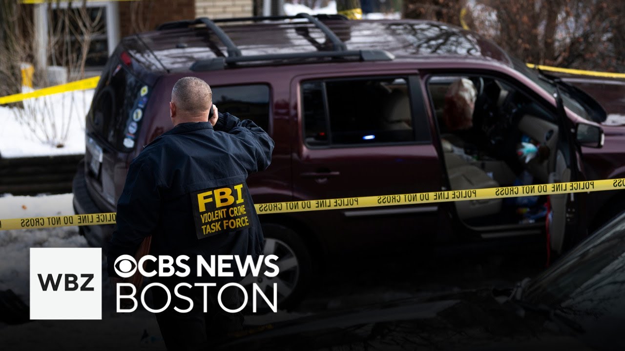 Law enforcement experts have different opinions on fatal ICE shooting