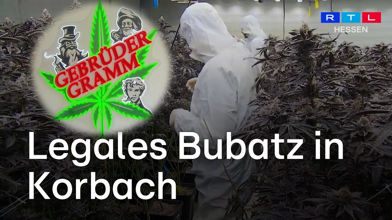 Erste legale Cannabis-Ausgabe in Korbach: &bdquo;Gebr&uuml;der Gramm&ldquo; machen&rsquo;s offiziell