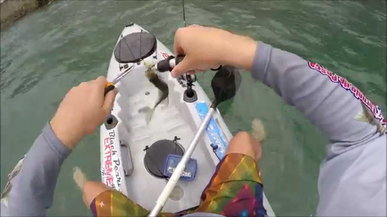 Pesca de Caiaque Cardume de Robalos Guaruja - Kayak Fishing