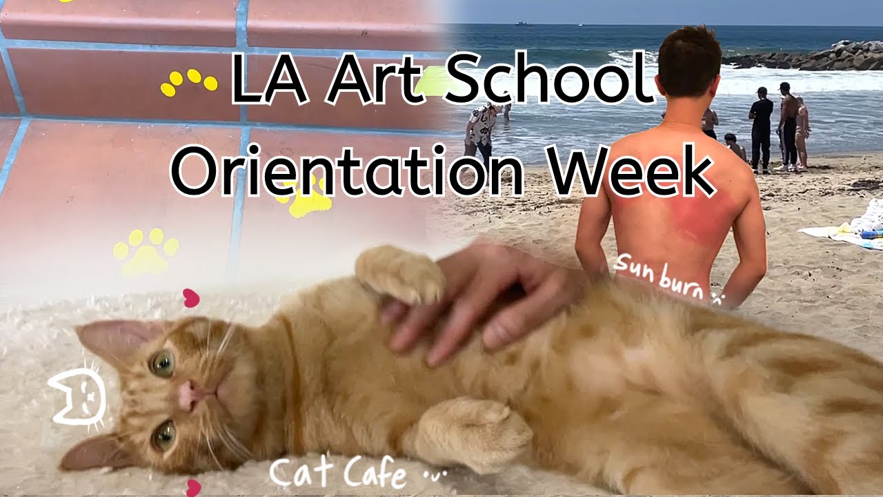 la art school orientation week // otis college //cat cafe, beach, sunburn
