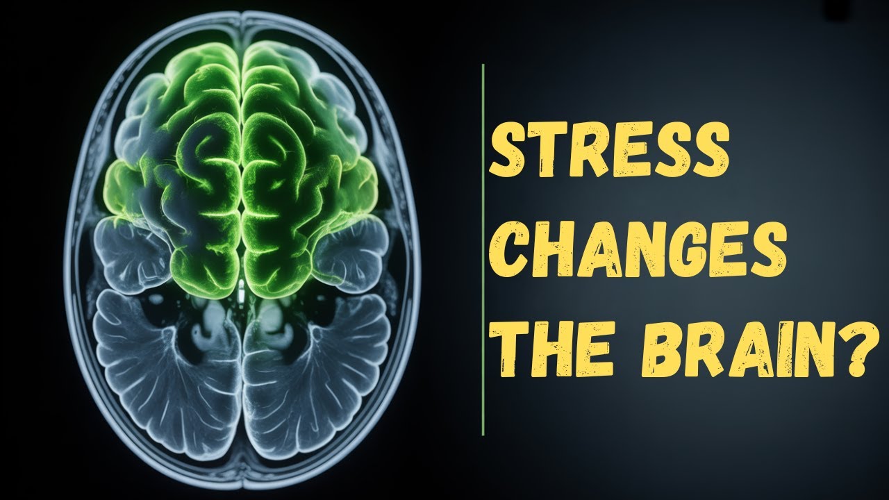 Stress Changes Your Brain in Critical Ways—Here's How to Reverse Them.