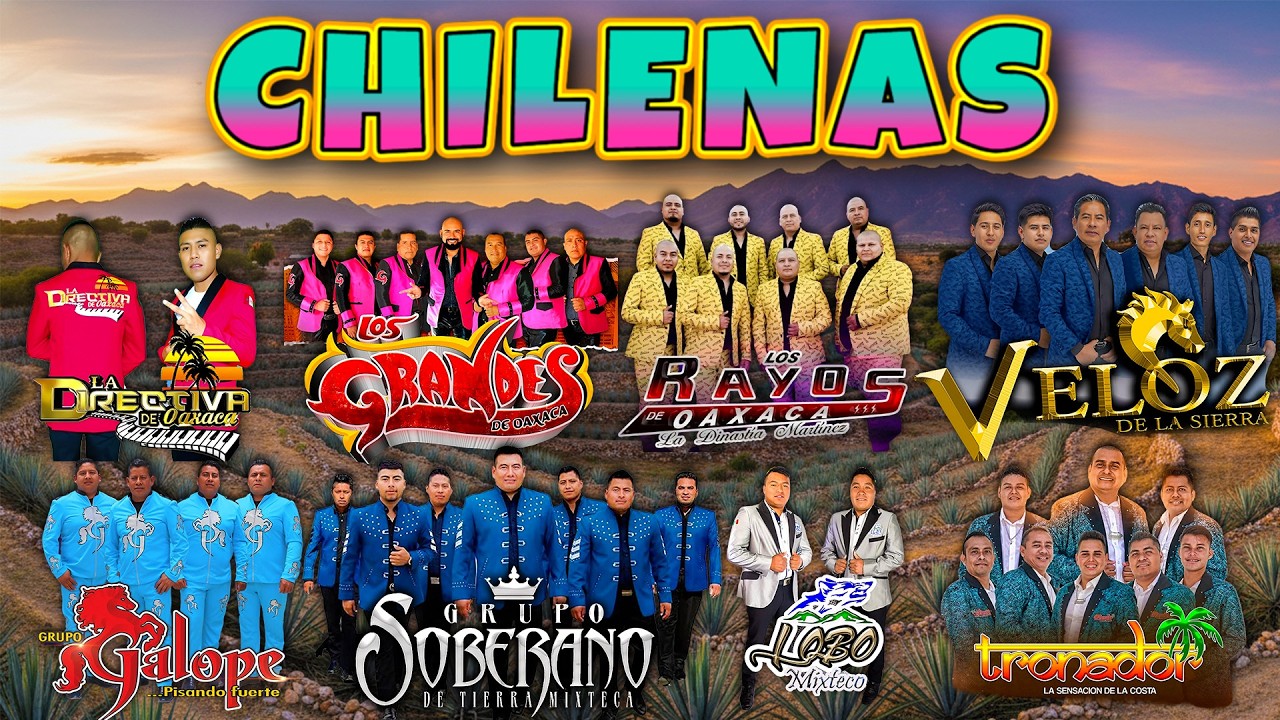 Las Mejores Chilenas de la Costa Chica 🦎 Guerrero vs Oaxaca Puras Chilenas Mix 2026 🎶
