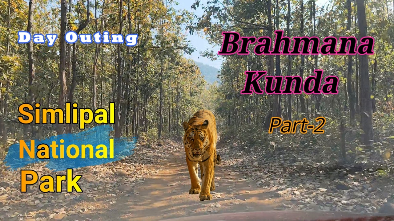 Day Outing at simlipal National Park. Day Outing || Camping || One day Trip || Kolkata nearby places