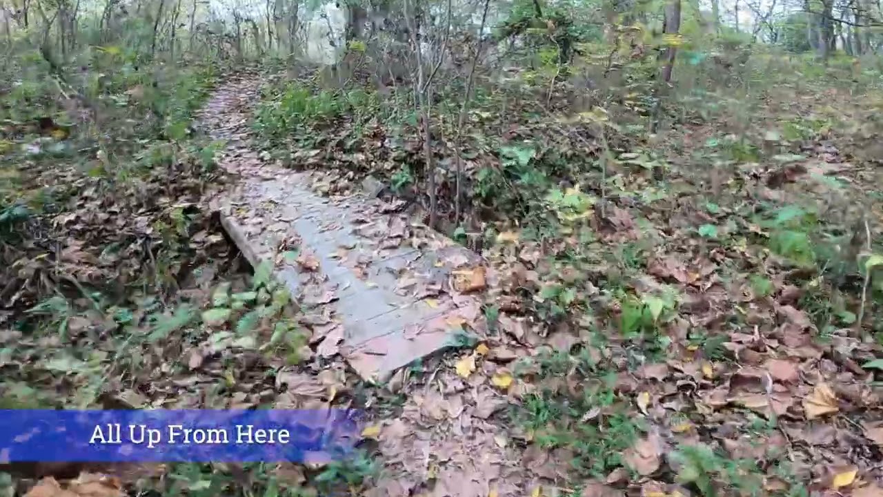 Exploring the Hidden Cardinal Trail Adventure!