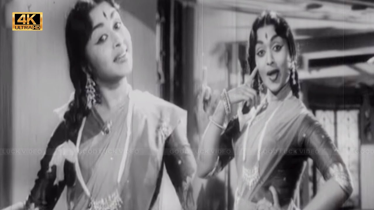 ஆடக் காண்பது காவிரி வெள்ளம் பாடல்|aada kaanbathu kaveri vellam song |P. Susheela, Jamuna Rani, M.S.V