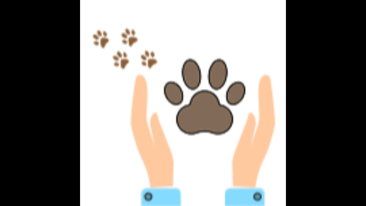 Dogs vs Cats....Who eats how?