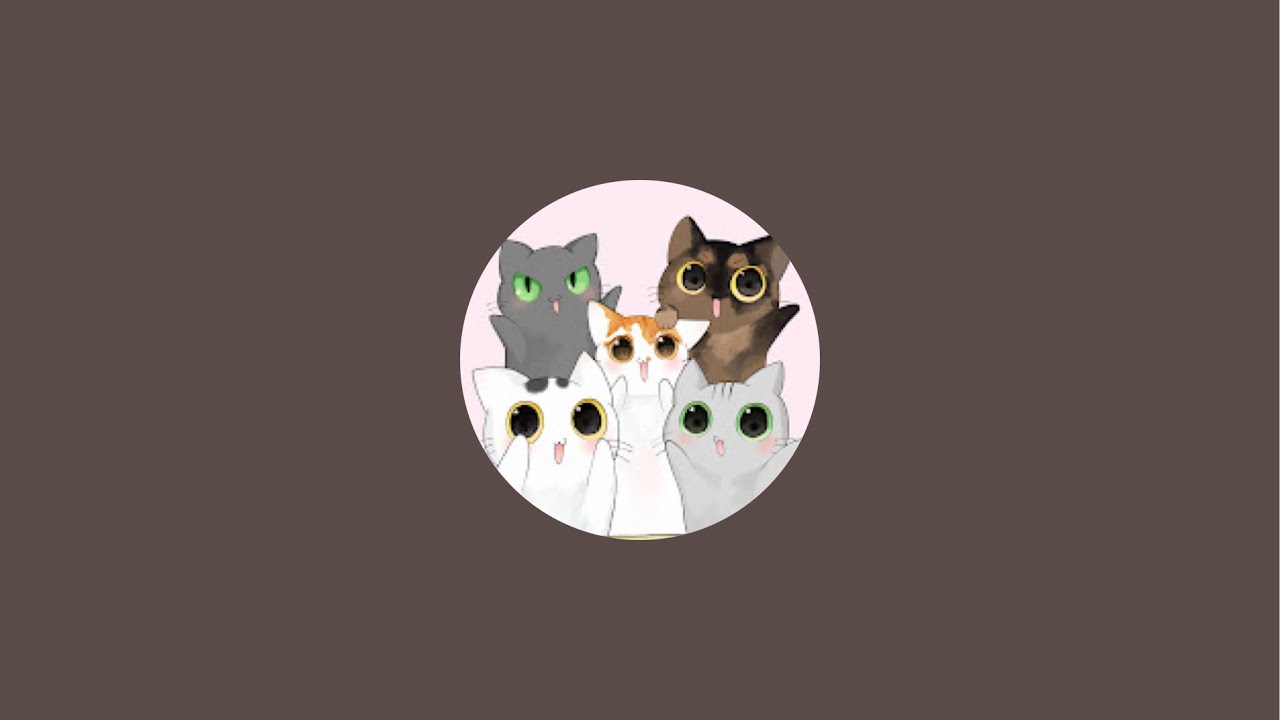 1/18 久々のゲリラ配信🐱