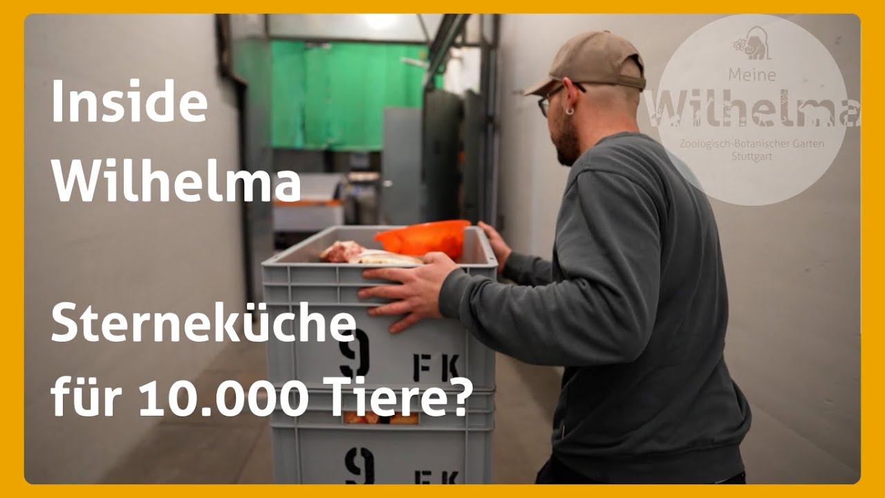 Sterneküche für 10.000 Tiere? Ein Blick in die Futterküche der Wilhelma