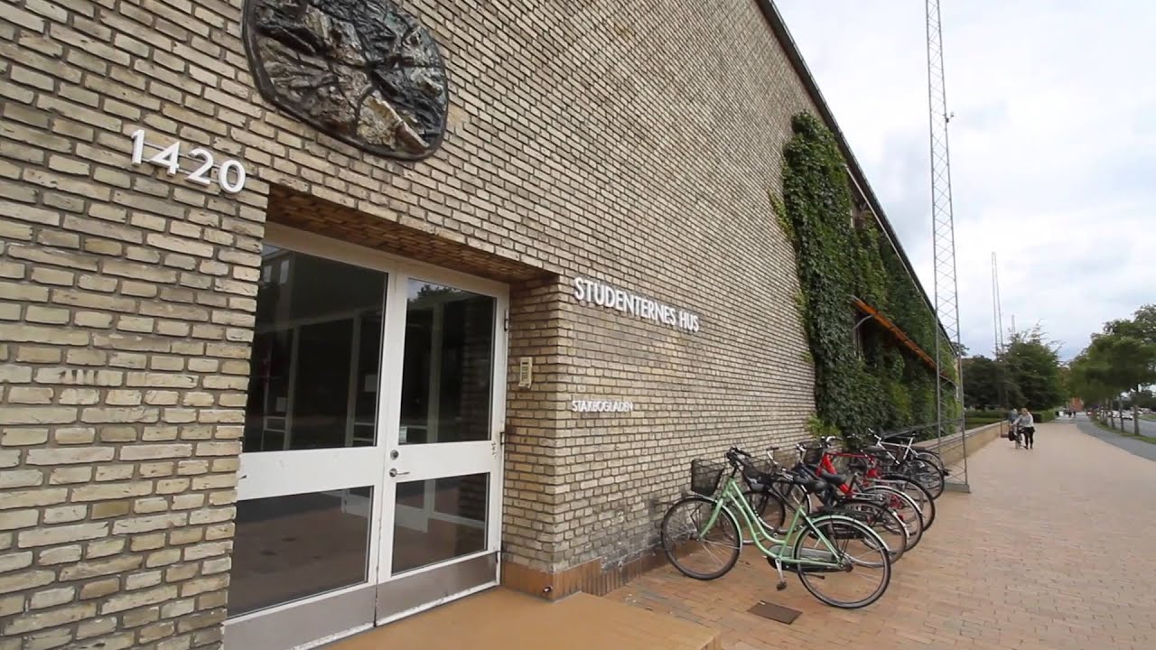 Old Norse - Aarhus University -